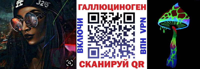 Псилоцибиновые грибы Psilocybe  продажа наркотиков  Карачаевск 