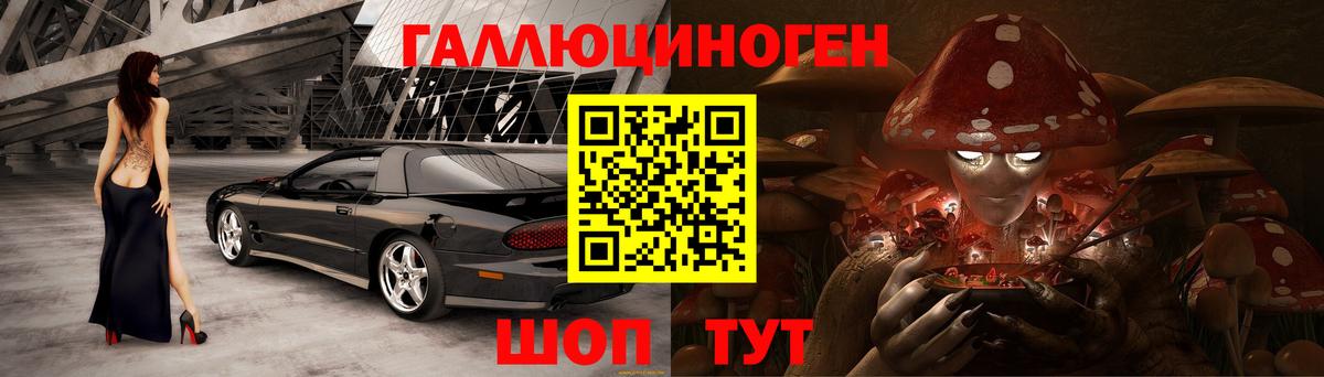 где купить   Псилоцибиновые грибы MAGIC MUSHROOMS  Псилоцибиновые грибы прущие грибы  Вход с VPN  Карачаевск 